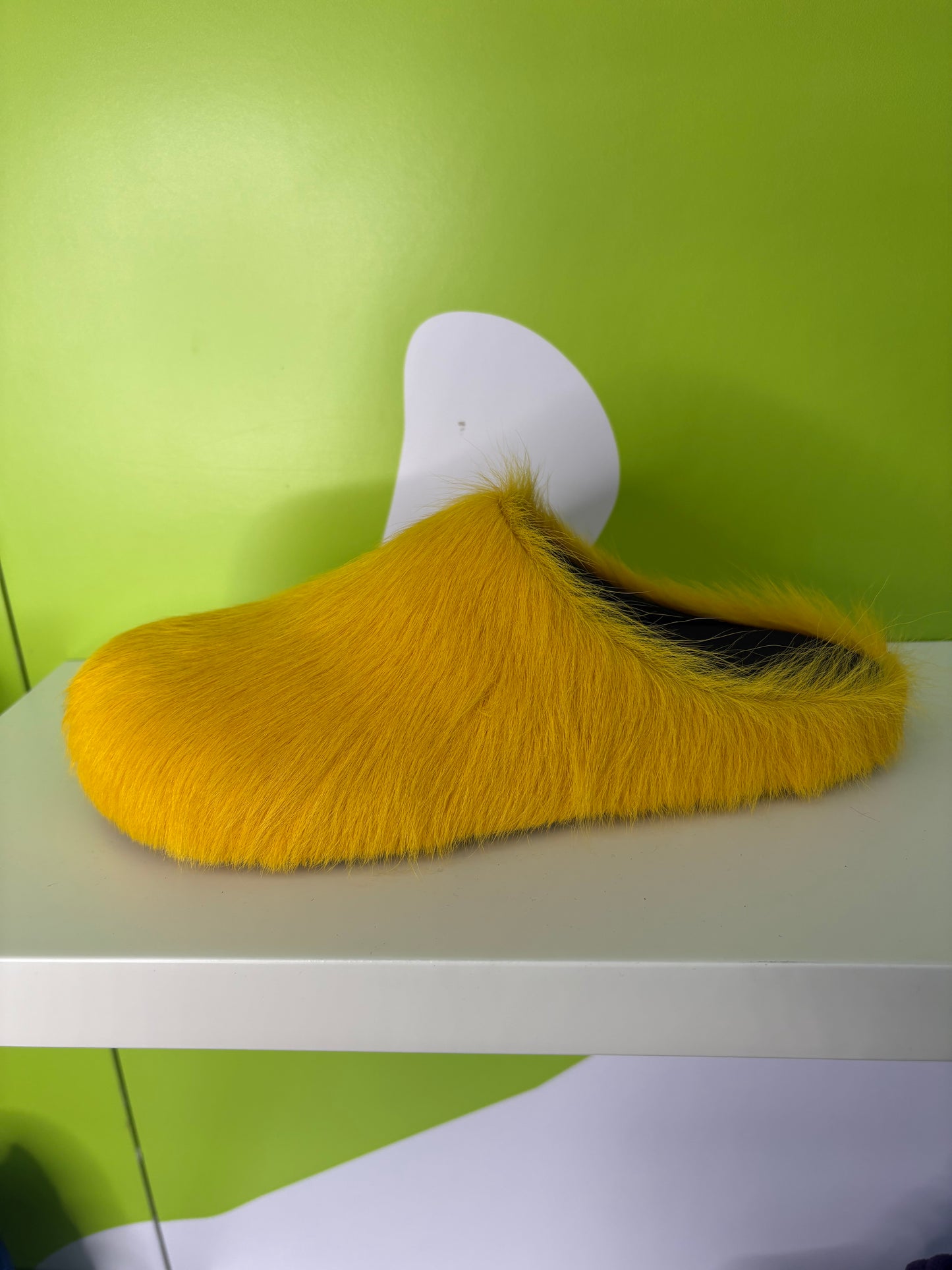 FUR SLIDES (ON HAND)